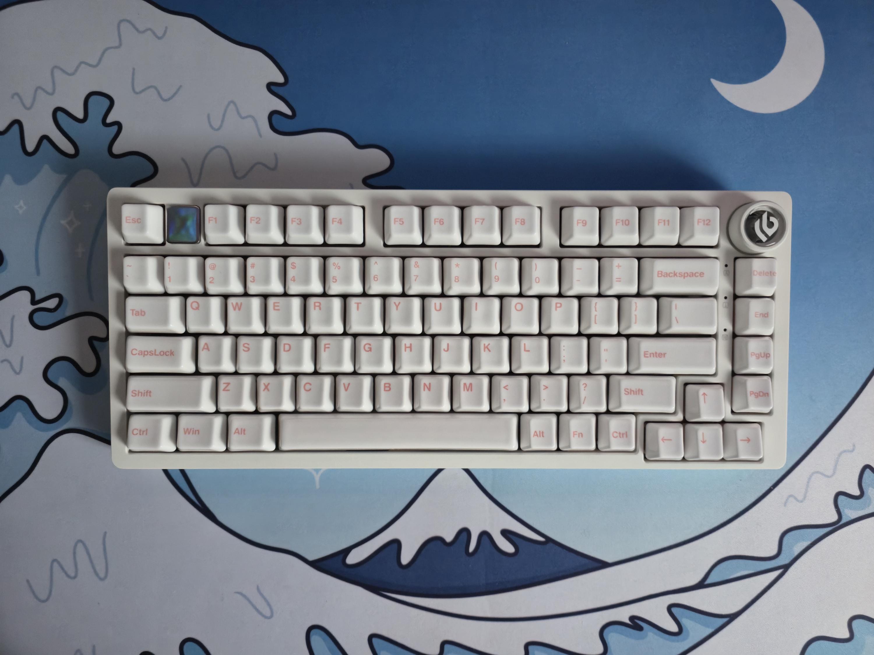 Leobog hi75 keygeek uni switch アリスキーキャップ Amazon.com: EPOMAKER x LEOBOG Hi75 Aluminum Alloy Wired Mechanical