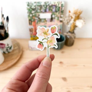 Autocollant vinyle fleur Hellébores