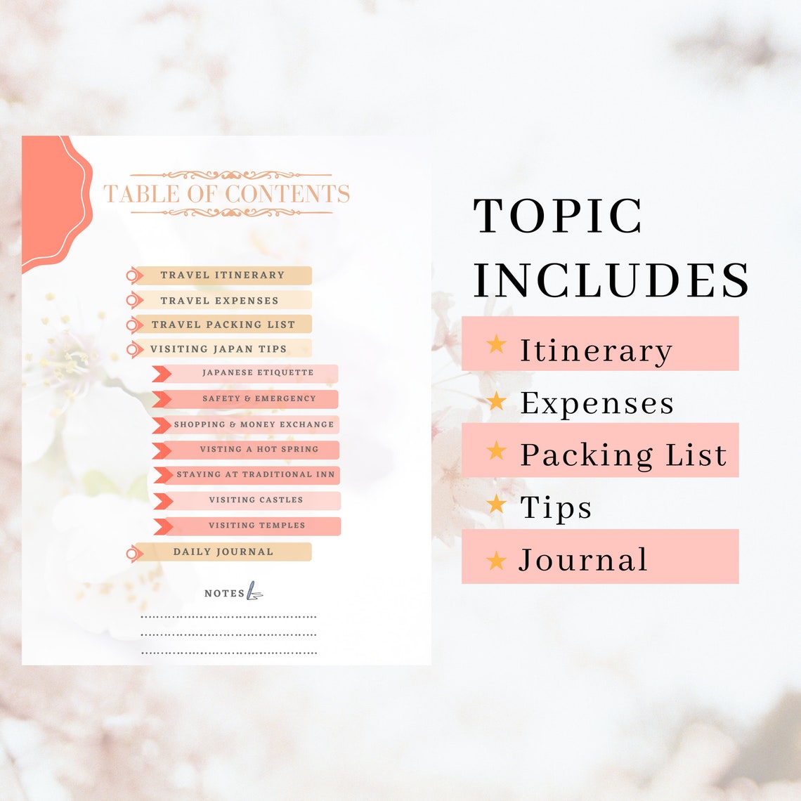 JAPAN TRIP PLANNING GUIDE visual data 6