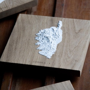 3D Island Wall Decoration Topographic Map | Personalized Travel Souvenir with Engraved Oak Base | Sustainable Home Decor