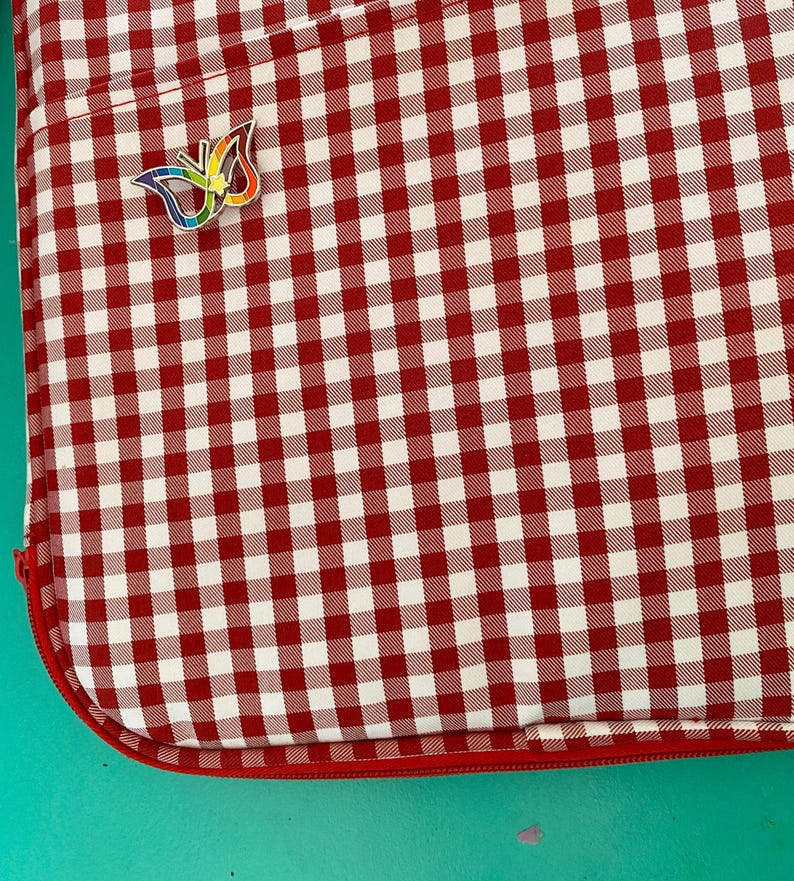 May include: A red and white gingham laptop sleeve with a rainbow butterfly pin.