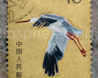 Colección de foto - chino, estampilla, en, mármol, telón de fondo, artístico, pájaro blanco, adecuado, para, impresión