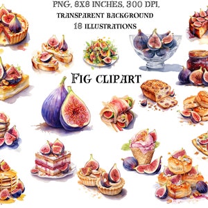 Clip Art vijgenrecepten - artistieke illustraties voor culinaire liefhebbers, keukendecor en smaakvolle gastronomische ontwerpen - vijgen, png-vectoren