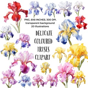 Farbenfrohe Schwertlilien in Freude: Digitales Clip Art Set - Leuchtende Blüten für kreative Freude und künstlerischen Ausdruck - Digital Download