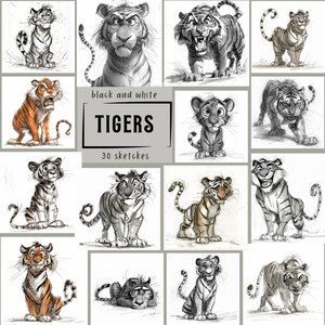 Adorabili schizzi di tigri: illustrazioni digitali espressive per artigianato e arredamento - Download istantaneo - Disegni espressivi di tigri