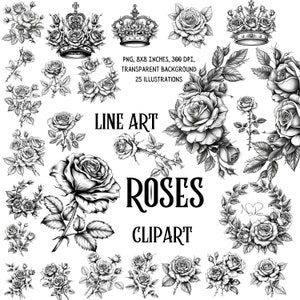 Dessin au trait rose intemporel : clipart numérique élégant pour des designs classiques - croquis noir et blanc - téléchargement immédiat