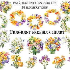 Clipart freesia élégant - illustrations numériques de fleurs gracieuses, de pétales délicats pour des motifs floraux modernes - téléchargement immédiat