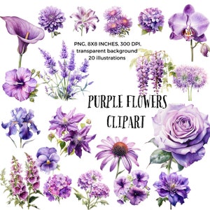 Paarse bloemen illustraties - elegante bloemen voor verfijnde ontwerpen - breng uw projecten direct naar een hoger niveau met koninklijke bloemencharme