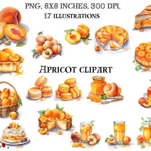 Lebendige Aprikose Clip Art - Digitale Frucht-Illustration für Kunsthandwerk & Designs - Sofortiger Download - Hochwertige Grafiken