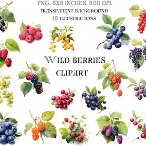 Wild Beeren Clip Art - Von der Natur inspirierte Illustrationen für frische und lebendige Designs - Fange die Essenz der wilden Ernte ein