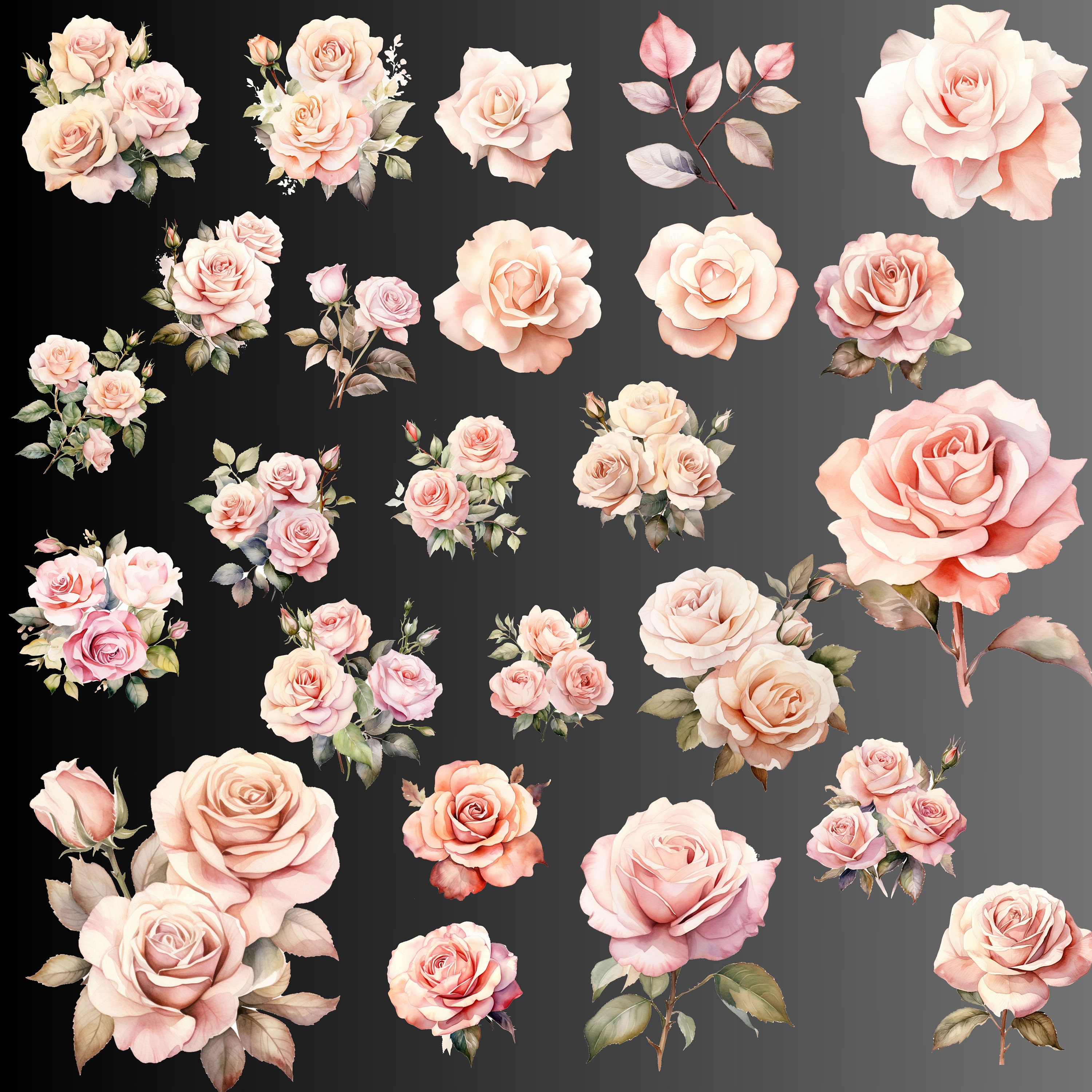 Delicate Pink Rose Clip Art Elegant Floral Designs for Wedding Artwork ...