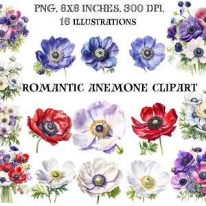 Image clipart élégante anémone - illustrations numériques de fleurs gracieuses, pétales délicats pour des motifs floraux modernes - téléchargement immédiat