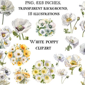 Clipart elegante de papoula branca e dourada - designs florais elegantes, flores digitais para decoração chique, download instantâneo, elegância moderna