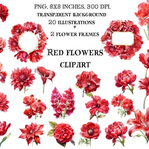Red Radiance Collection: Levendige bloemen Clip Art - Digitale elegantie voor uw creatieve projecten - Direct downloaden