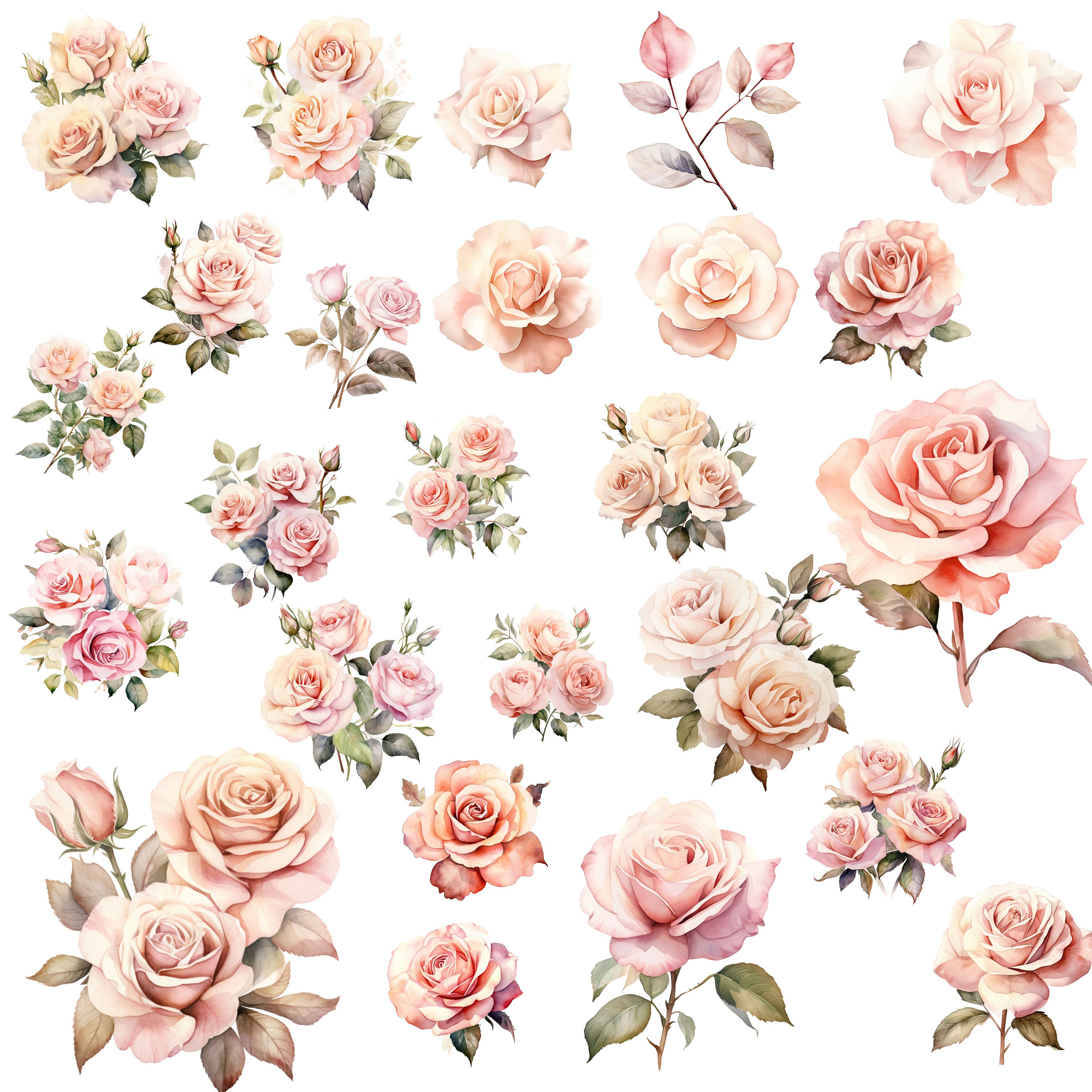Delicate Pink Rose Clip Art Elegant Floral Designs for Wedding Artwork ...
