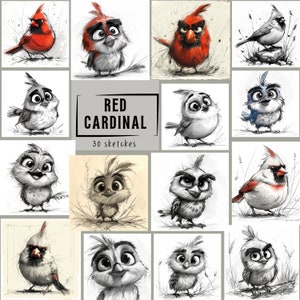 Lindos y divertidos bocetos del cardenal rojo: adorables ilustraciones de pájaros para decoración del hogar, manualidades, proyectos digitales y regalos - Bird Lover Art