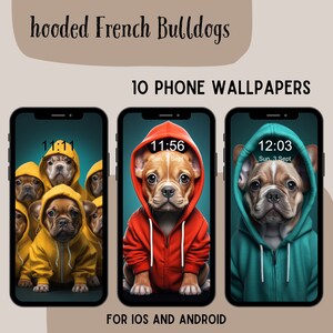 Französische Bulldogge Handy Wallpaper: entzückender Hund Design für Handy, Smartphone Wallpaper für Regentage, glückliches Smartphone Wallpaper
