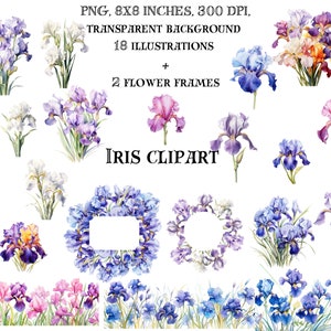 Iris Clip Art Set - Detaillierte Aquarell Illustrationen für Einladungen, zum Basteln, und mehr - Elegante Lila und Rosa Blumen - Digital Download