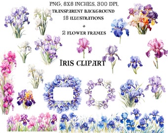 Iris Clip Art Set - Detailed Watercolor Illustrations for Invitations, Crafts, and More - Elegant Purple and Pink Flowers - Digital Download