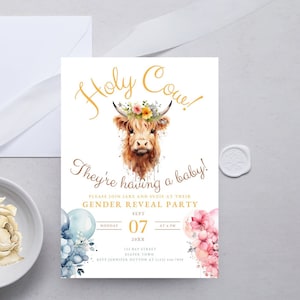 Faire-part de révélation de sexe modifiable, invitation de révélation de sexe de vache sacrée, baby shower garçon/fille, imprimable vache Highland toile TÉLÉCHARGEMENT NUMÉRIQUE MC92