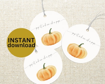 little pumpkin baby shower champagne label pop & cheer when baby is here champagne tag Gender Neutral Baby Shower Favor DIGITAL DOWNLOAD LP1