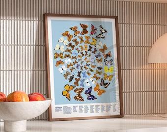 British Butterflies A2 Print, Kaleidoscope Butterfly Wall Art