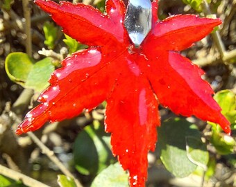 Collana con vera foglia di acero rosso giapponese ciondolo