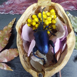Puede incluir: Una caja de joyería artesanal de cáscara de nuez con tapa con bisagras y herrajes de latón. En el interior, un escarabajo azul metálico descansa sobre un lecho de flores secas, incluyendo mimosa amarilla y pétalos rosas. Un recuerdo único inspirado en la naturaleza.