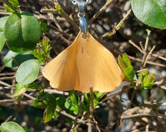 Collana con vera foglia di Ginkgo biloba ciondolo