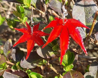 Orecchini in vera foglia di Acero rosso giapponese
