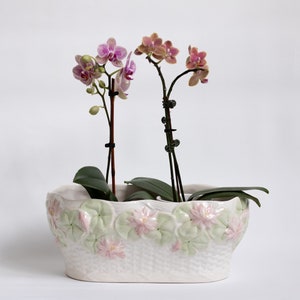 May include: Two pink and white orchids in a white ceramic pot with a green and pink floral design.