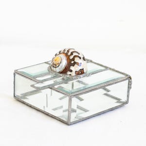 May include: A clear glass box with a decorative, brown and white seashell on top. The box has a silver metal frame and a hinged lid. The seashell is a nautilus shell, with a spiral pattern.