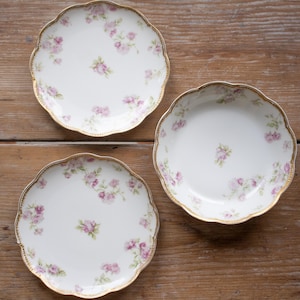 Haviland Limoges Scheiger 87 Pink Roses Gold Trim Scalloped Soup Bowl Bread Plates