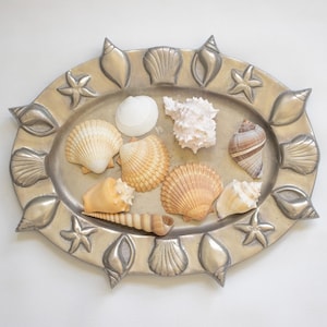 May include: An oval, silver-colored metal tray with a raised border featuring seashell and starfish designs. The tray holds a collection of various seashells in shades of white, tan, and brown. A decorative piece for coastal or beach-themed decor.