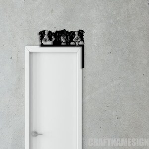 K&ouml;nnte beinhalten: Drei schwarze und wei&szlig;e Border Collie K&ouml;pfe schauen &uuml;ber einen wei&szlig;en T&uuml;rrahmen. Die Hunde schauen mit herausgestreckter Zunge in die Kamera.