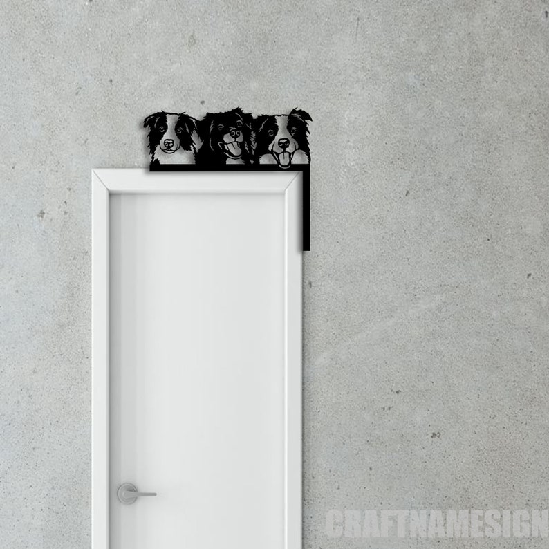 K&ouml;nnte beinhalten: Drei schwarze und wei&szlig;e Border Collie K&ouml;pfe schauen &uuml;ber einen wei&szlig;en T&uuml;rrahmen. Die Hunde schauen mit herausgestreckter Zunge in die Kamera.