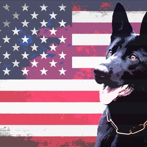 May include: A black dog with a gold chain collar is set against a distressed American flag background. The dog's eyes are open, and its tongue is visible. The flag features red and white stripes and blue with white stars.