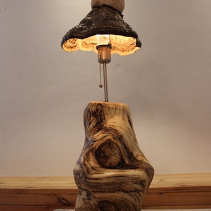 Buchenspalt Fomentarius