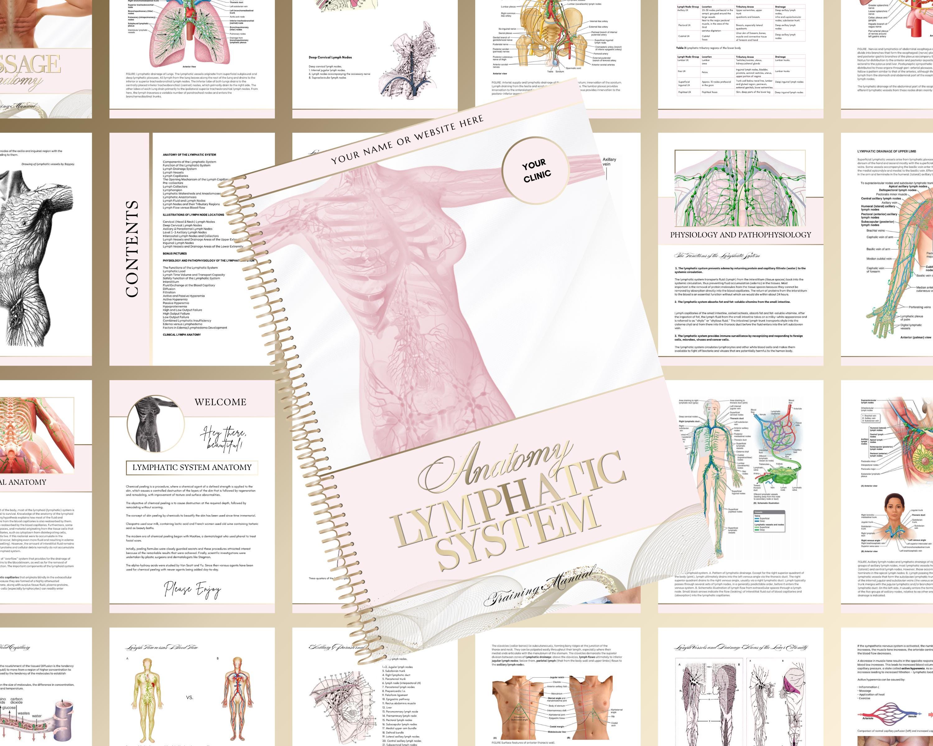 Lymphatic System Anatomy Training Manual, Lymphatics Anatomy Guide ...