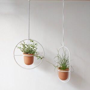 Puede incluir: Dos maceteros colgantes con macetas de terracota y plantas verdes. Los soportes son de metal blanco y están suspendidos de una barra de madera.