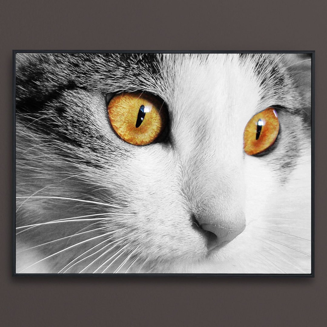 Printable Cat, Animal Prints, Feline Animal, Printable Wall Art, Animal ...