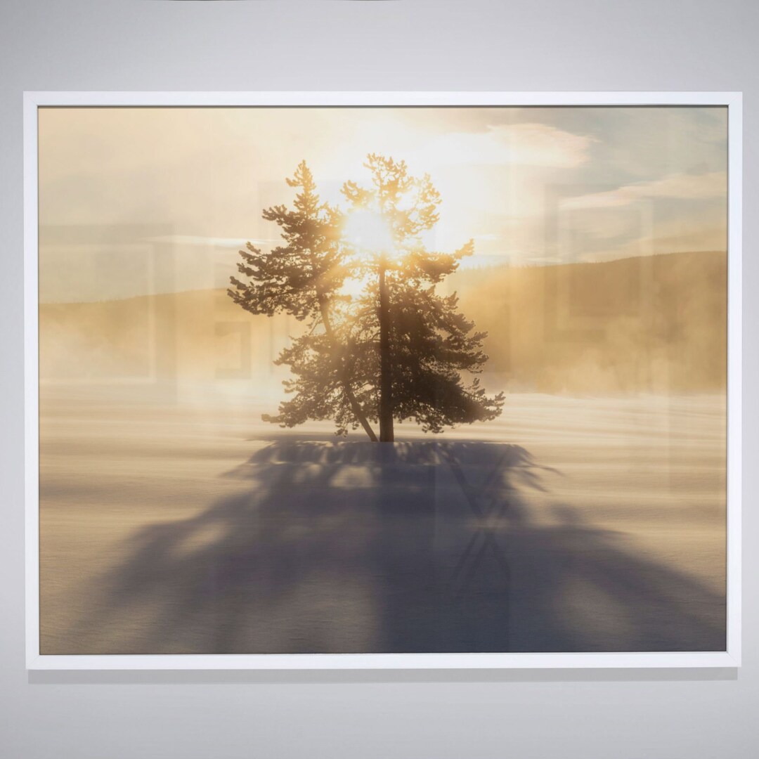 Snowy Tree, Landscape Print, Printable Wall Art, Nature Prints, Modern