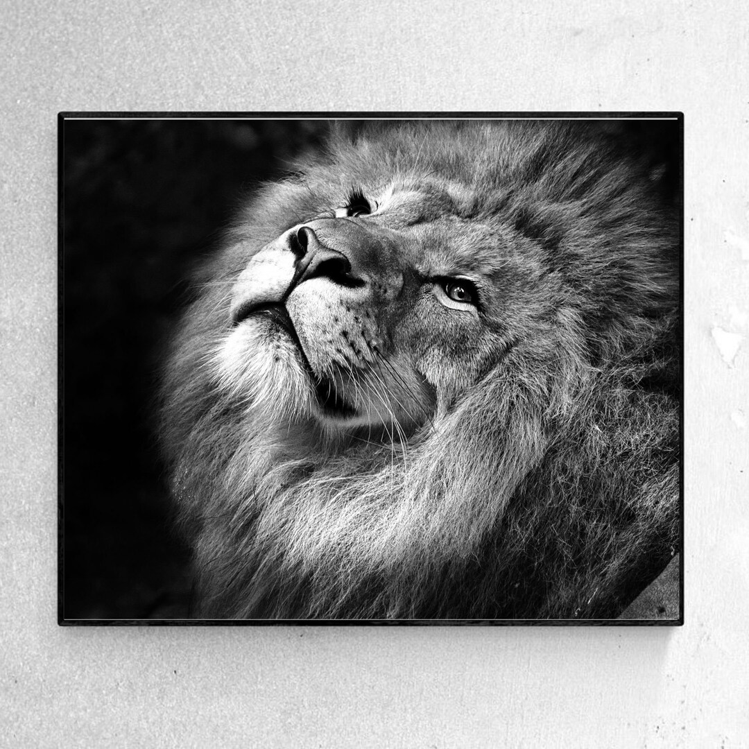 Lion Printable, Animal Prints, Wild Animal, Printable Wall Art, Animal