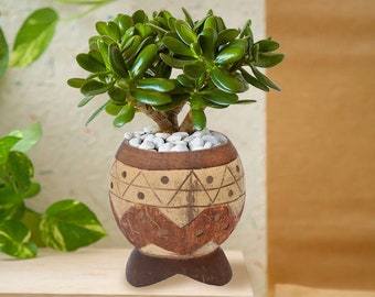 N&H Coconut Planter | Handmade Pot from Reclaimed Coconut Shell | Sustainable, Biodegradable | Zero-Waste Recycled Indoor and Garden Decor