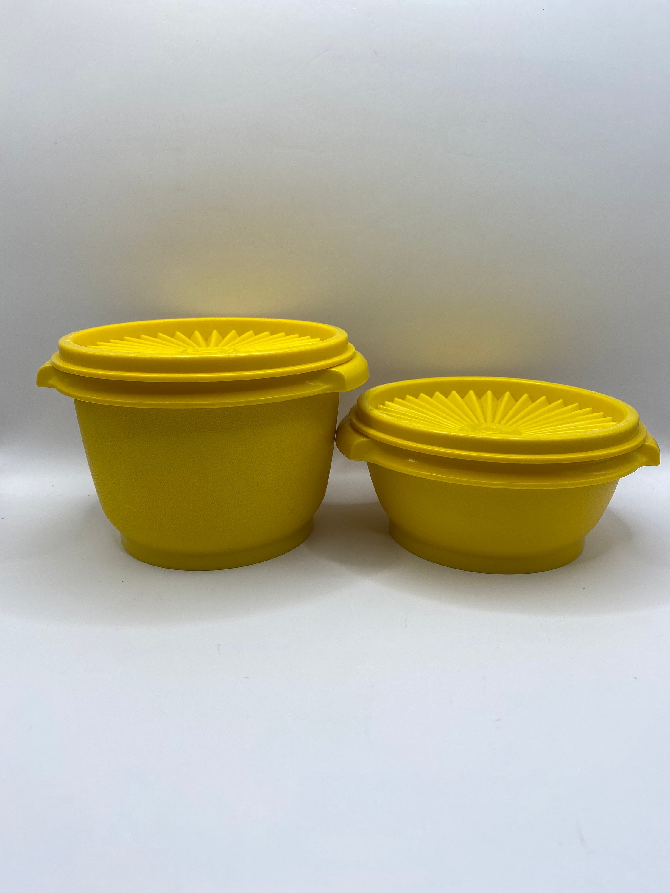 Tupperware Basic Bright Mini Rectangle Snack Container Set of 2