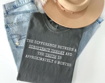 Funny Conspiracy Theory T-Shirt | Conspiracy Theories Gift | Funny Political Tee | I Identify As A Conspiracy Theorist | Comfort Colors