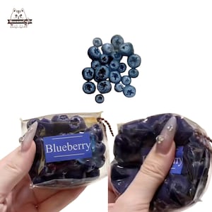 May include: A clear plastic bag filled with blue blueberry-shaped squishy toys. The bag has a label that says "Blueberry".