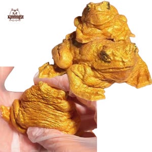 ゴールデンフロッグ スクイーズ ストレス解消 感覚刺激 手作りフィジェットトイ