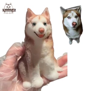Puede incluir: Una figurita de perro husky de peluche marrón y blanco. La figurita está sentada en una mano con un guante blanco. La figurita es una réplica de un perro husky real.