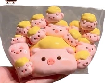 手作りの豚タバスクイーズ：食品グレードのシリコン、フィジェット
